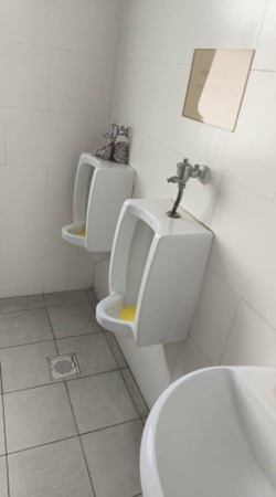 Completed toilet renovation with fresh tiling and sanitary fittings