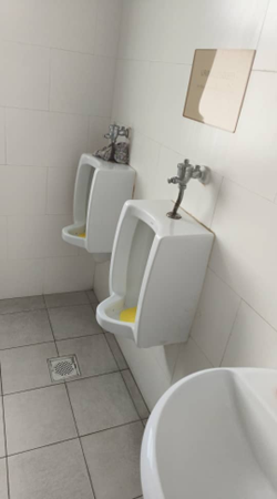 Completed toilet renovation with fresh tiling and sanitary fittings